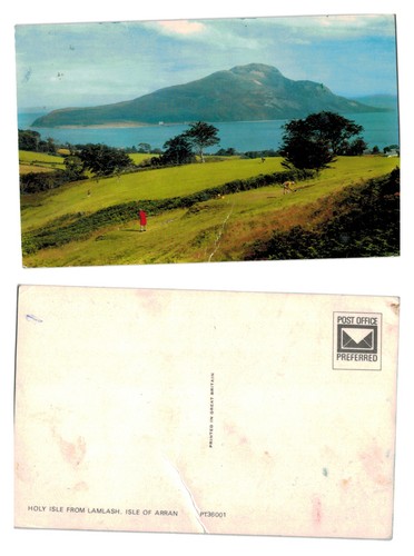 Postcard holy isle - postcard,