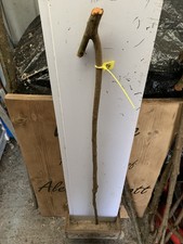 Blackthorn SHANK Cane  WALKING