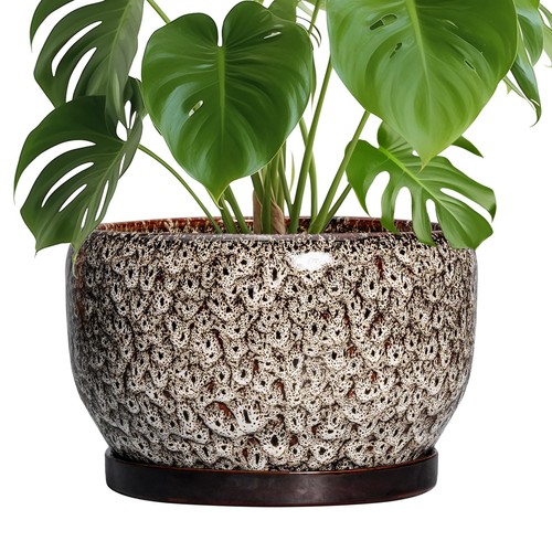 Ceramic plant pots large - ceramic,
