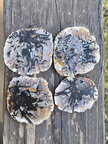 Turkish stick agates slices - agates,