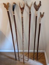 Walking Sticks