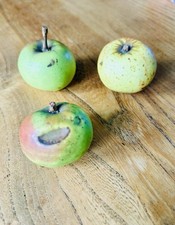 Vintage Ceramic Set of 3