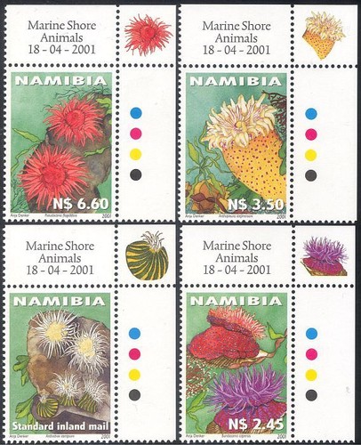 Namibia 2001 sea - 2001,