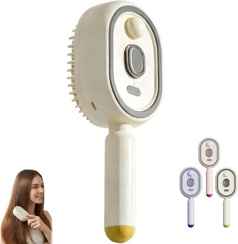 Rechargeable electric steam - rechargeable,