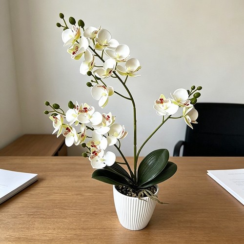 Soft rubber phalaenopsis - soft,