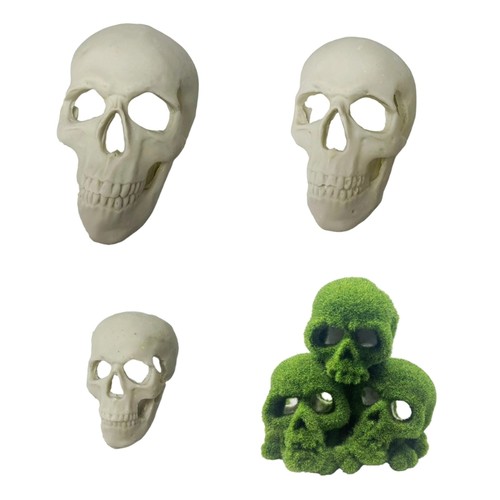 Cabinet shelf skull figure - skull,