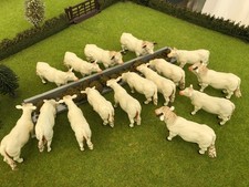 Britains Charolais Cattle x 16