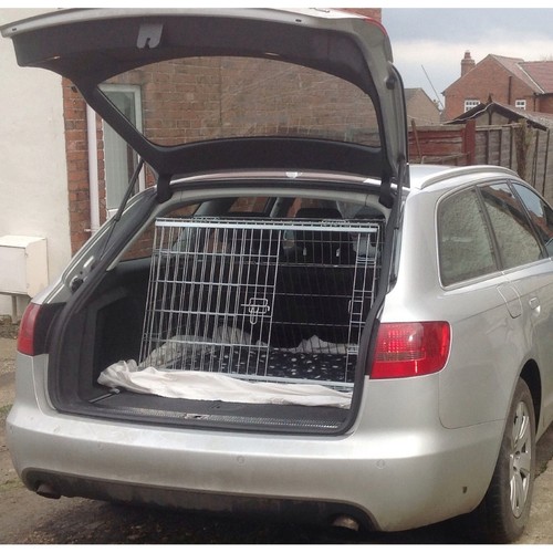 Pet world audi - audi, |