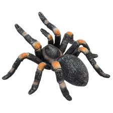 Mojo red kneed - red, tarantula