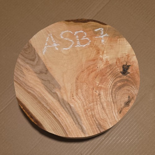 Large ash bowl blank wood - blank,