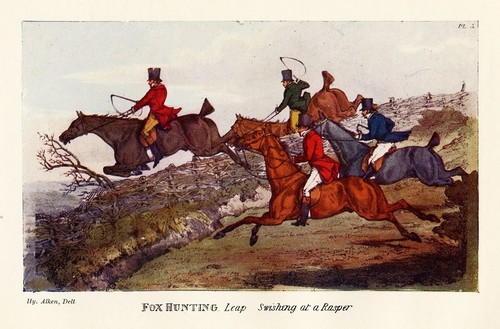 Fox hunting swish - at, rasper