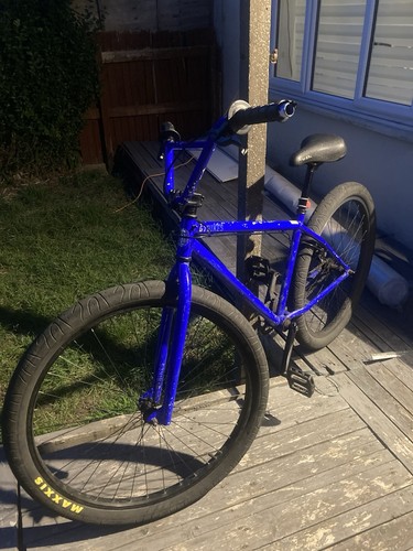Blue performer with - 29”, gt
