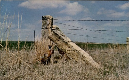 North central limestone - north,