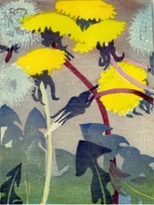 Dandelions  :  Mabel Royds 