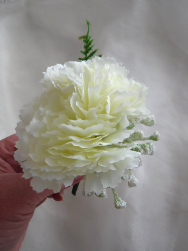 Ivory double carnation - 1,