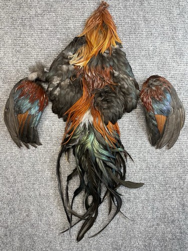 Genetic rooster cape - genetic, saddle