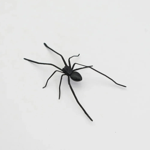 Realistic spider magnet for - realistic,
