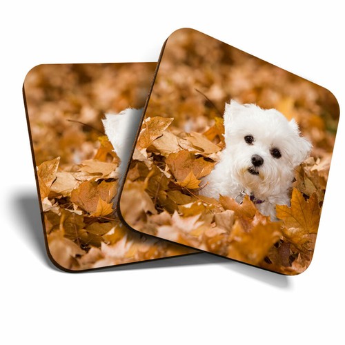 Coasters cute west - coasters,