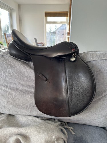 Albion saddle w - k2, gp