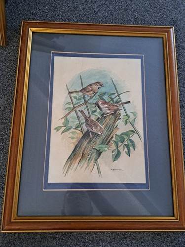 Original watercolour painting - original,