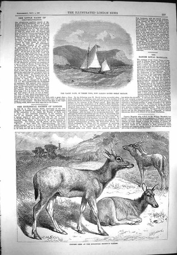 Old antique print - antique, yacht