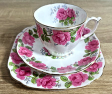 Queen Anne Lady Alexander Rose