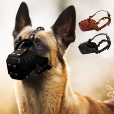 Strong Real Leather Dog Muzzle