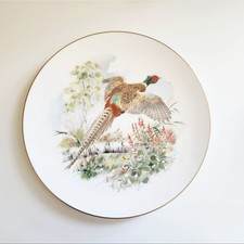 10.5" Royal Worcester 51
