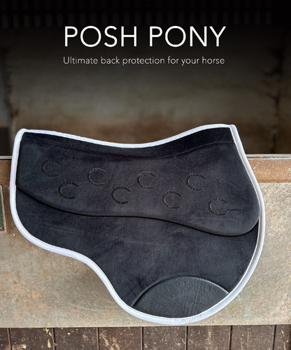 Posh pony jump velvet - posh, gp/jump
