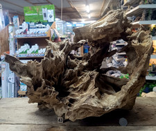Derwen oak bogwood 68cm - oak,
