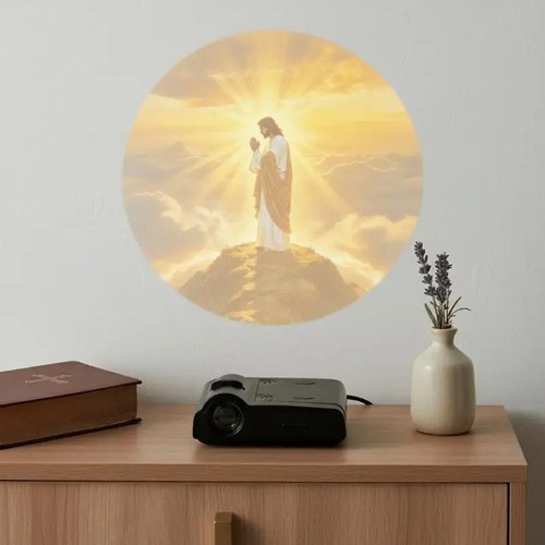 Led christ church mary - led,