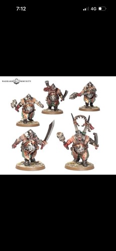 Warhammer aos ogor mawtribes - ogor,