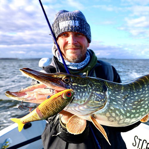 Rapala super shadow - super, glide