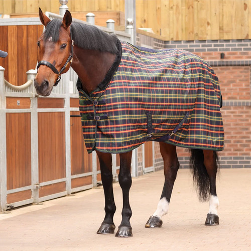 Shires tempest plus lite - shires,