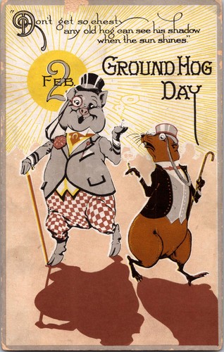 Postcard ground hog day - hog, don't