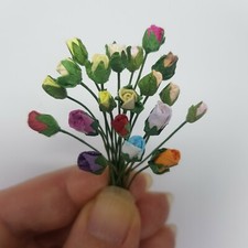 20 Miniature Roses Bud Close
