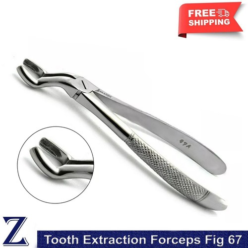 Dental upper molar extraction - dental,
