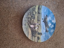 Royal Doulton Spitfire Coming Home Plate