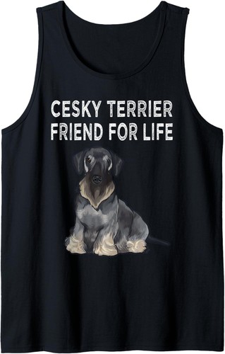 Cesky terrier friend for - friend,