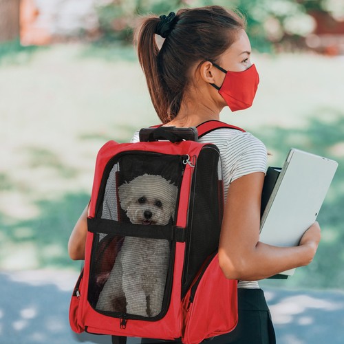 Pawhut pet travel - pet, backpack