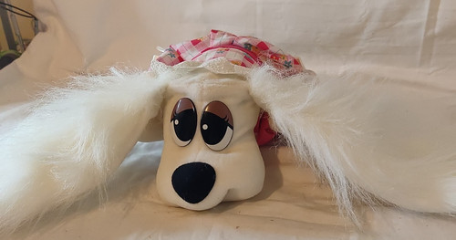 Pound purries puppies puppy - pound,