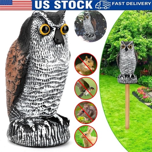 Owl decoy statue protect - owl,