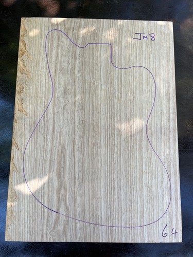 Swamp ash one - swamp, guitar