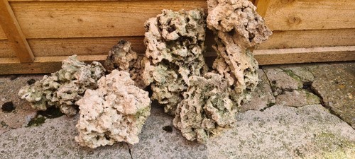 Aquarium ocean rock - ocean,