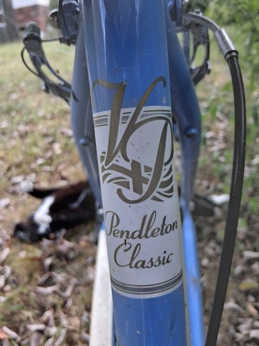 Ladies pendelton bicycle - ladies,