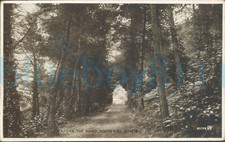Minehead Among the pines 1934 Postmark Valentine Photobrown 88774