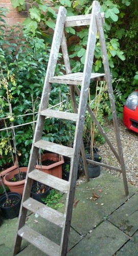 Step ladder wooden 1960 - 's, nice