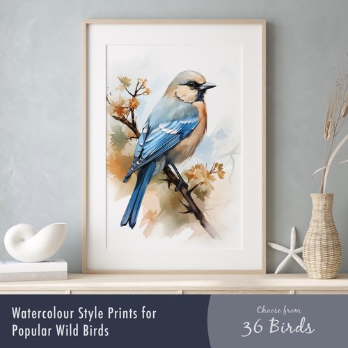 Watercolour bird prints - watercolour,
