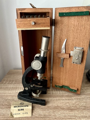 Vintage 1950s sel student - 1950s,