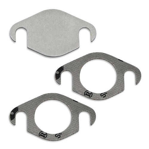Egr valve gasket repair - valve, for